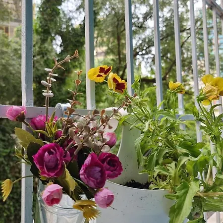 Party For Big Groups Appartement *