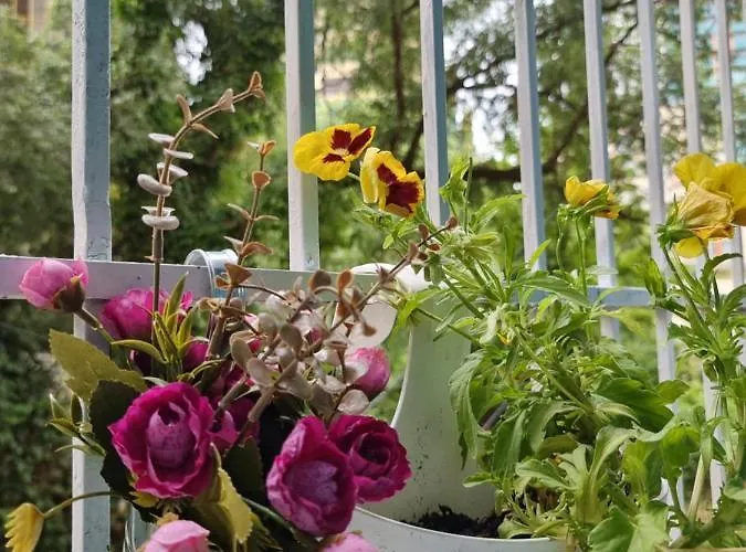 Party For Big Groups 公寓 *